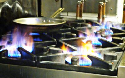 Mastering Wolf Range Service: Expert Tips