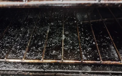 Ultimate Wolf Repair & Maintenance Tips