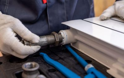 Expert Wolf Appliance Repair in Bellevue for Your Home