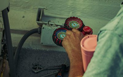 Essential Tips for Choosing a Wolf Repair Company